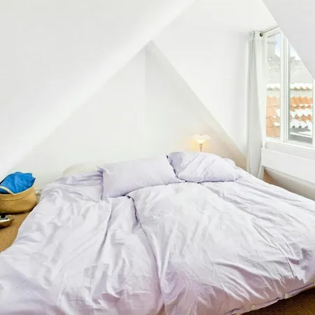Apartament Penthouse In Copenhagen's Old Town *